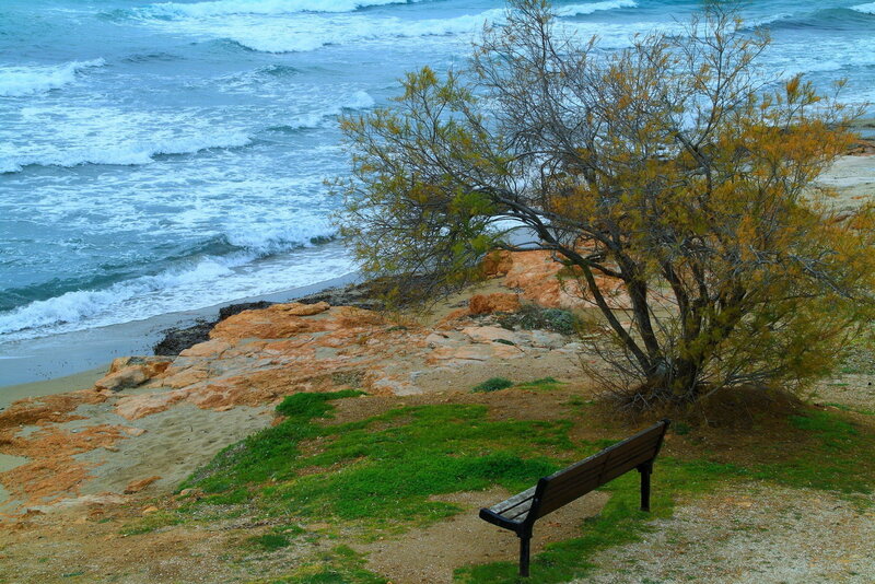 Wooden Bench on Cliff