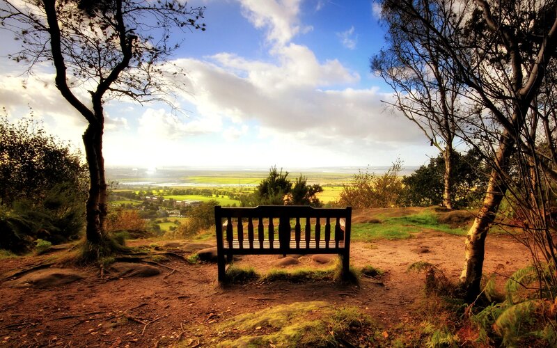 Wooden Bench on Hill — Blue