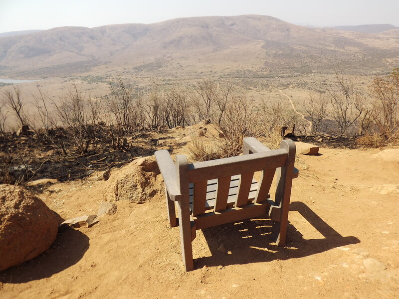 Wooden Bench on Hill — Brown, Serene