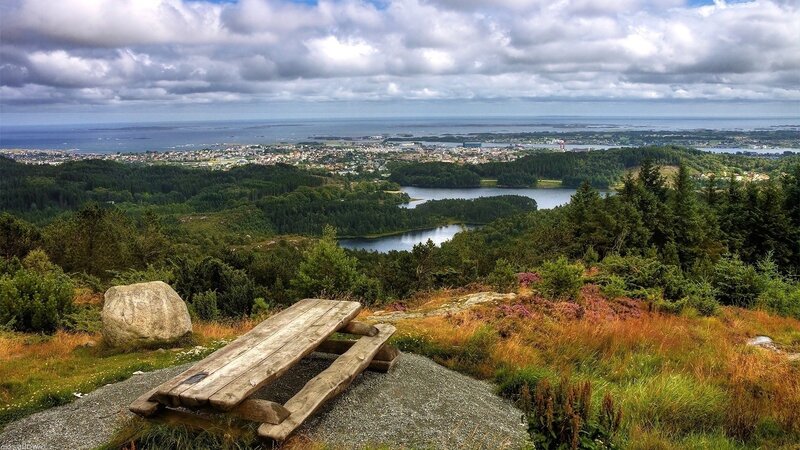 Wooden Bench on Hill — Green, Serene, Afternoon, Photograph, Rock, Trees