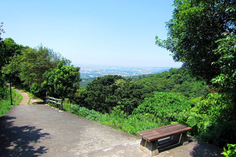 Wooden Bench on Hill — Green, Serene