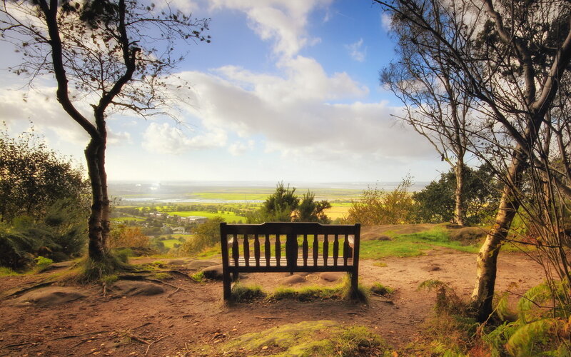 Wooden Bench on Hill — Green