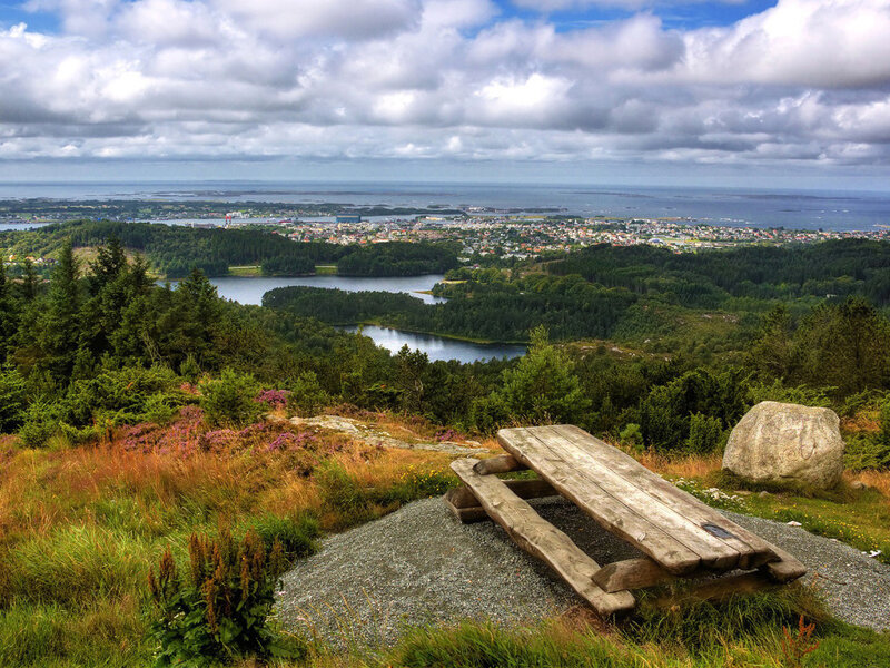 Wooden Bench on Hill