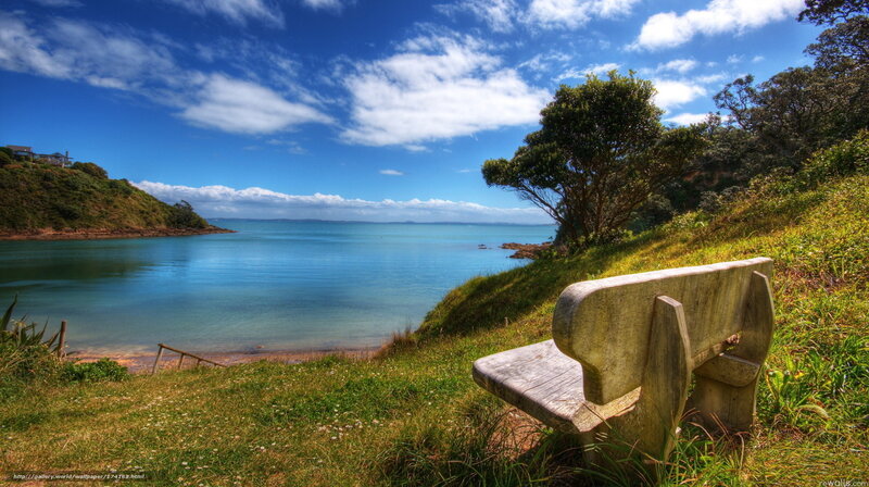 Wooden Bench on Hillside — Blue, Serene, Afternoon, Photograph