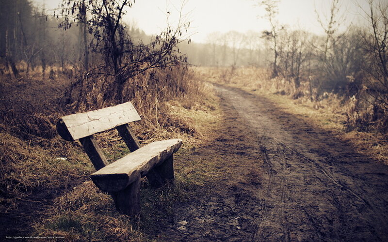 Wooden Bench on Path — Brown