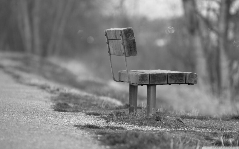 Wooden Bench on Path