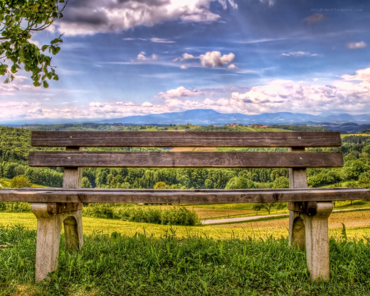 Wooden bench overlooking a valley