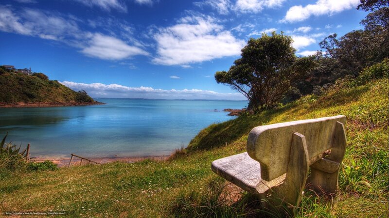 Wooden Bench Overlooking Bay — Blue