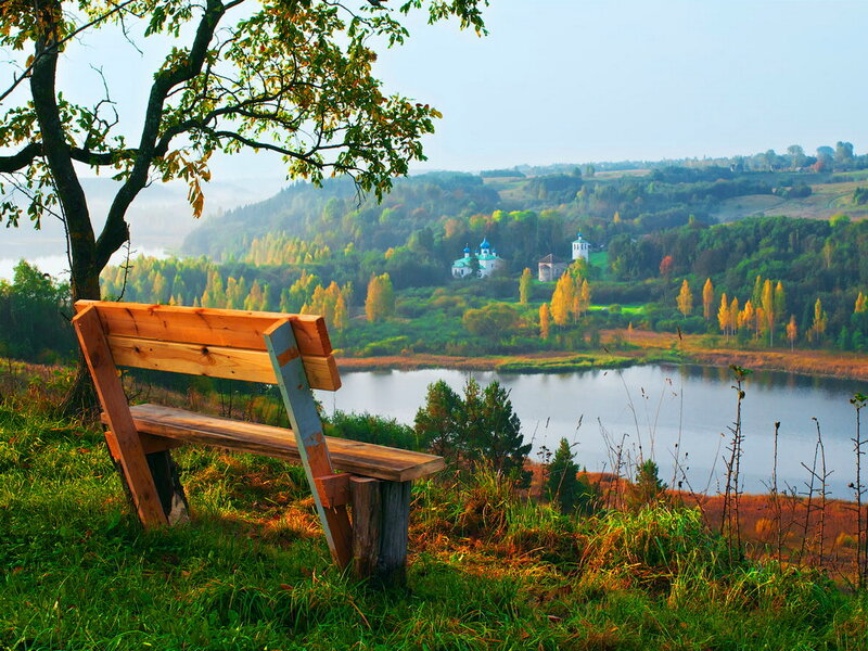 Wooden Bench Overlooking Lake — Green