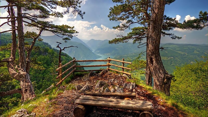 Wooden Bench Overlooking Valley — Green, Serene