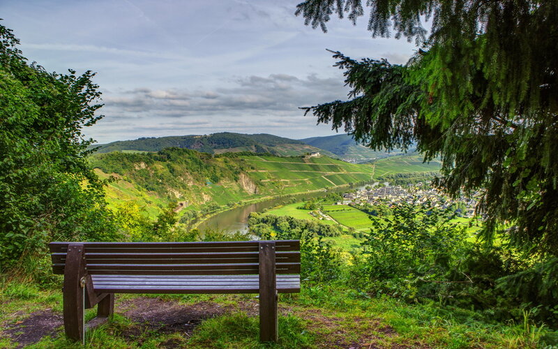 Wooden Bench Overlooking Valley — Green