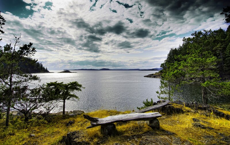 Wooden Bench Overlooking Water