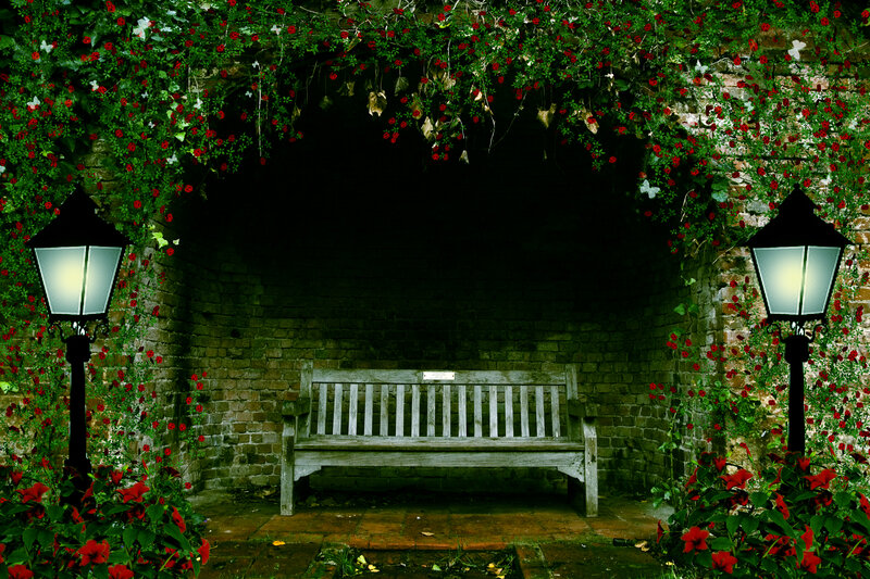 Wooden Bench under Arch — Green