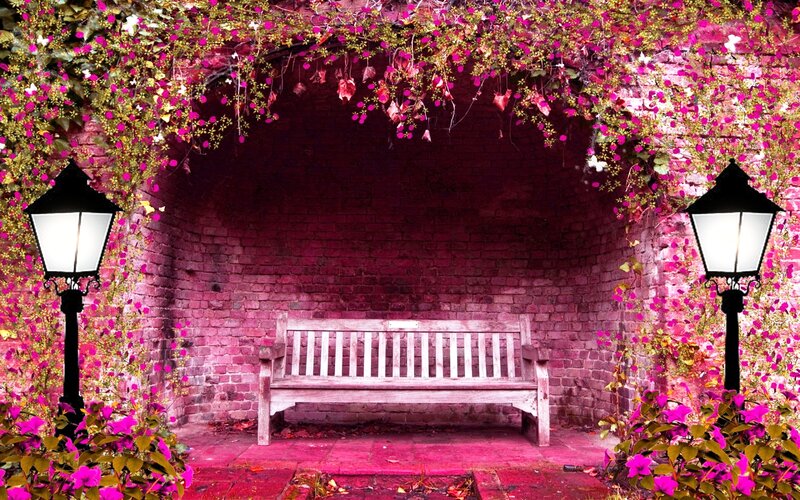 Wooden Bench under Arch — Pink