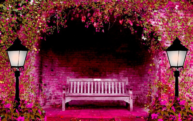 Wooden Bench under Arch