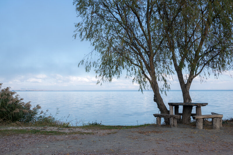 Wooden Bench under Tree — Blue
