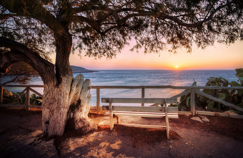 Wooden Bench under Tree — Orange, Serene, Sunset, Photograph