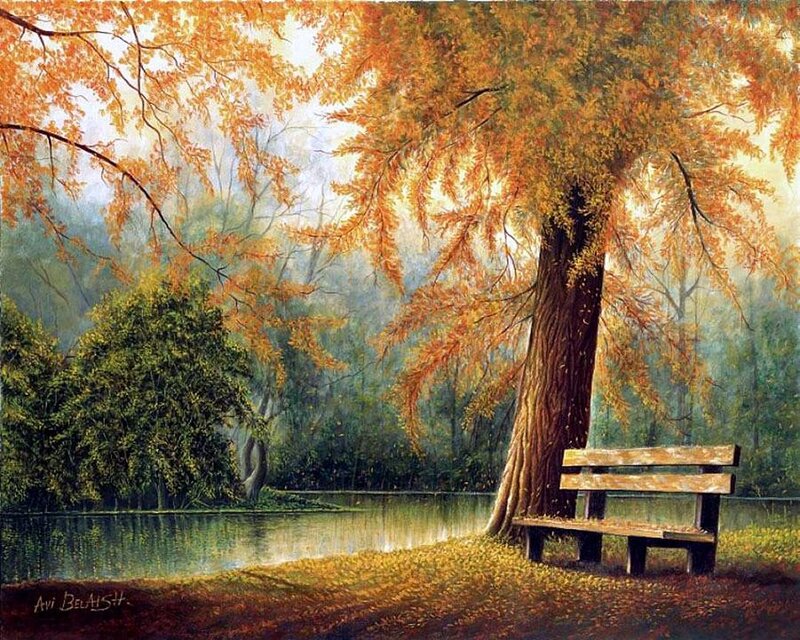 Wooden Bench under Tree — Orange, Serene