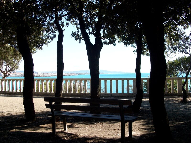Wooden Bench under Trees — Brown