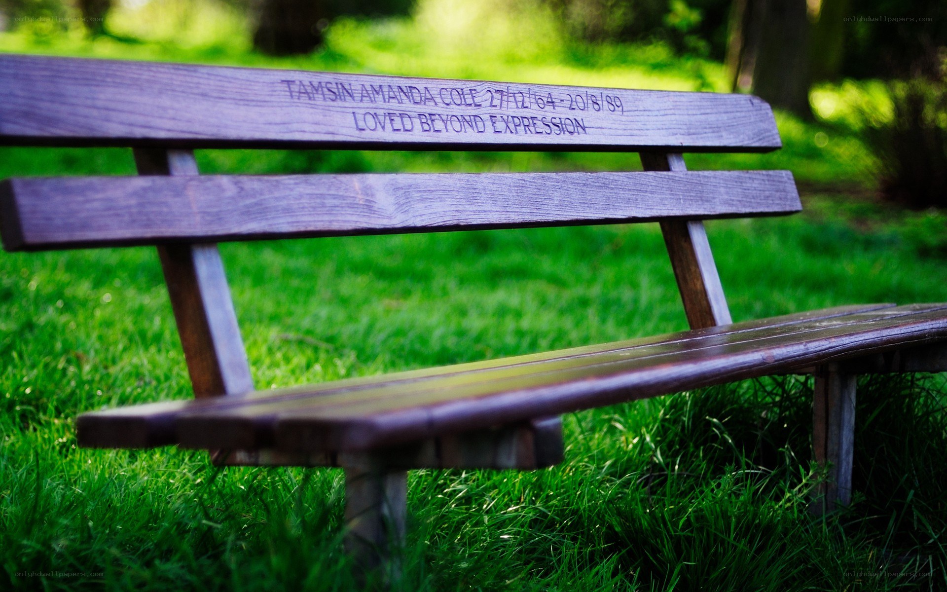 Wooden bench with engraved memorial