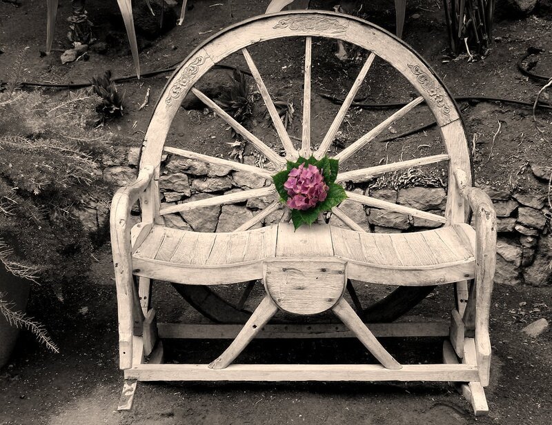 Wooden Bench with Flower