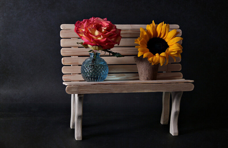 Wooden Bench with Flowers — Brown
