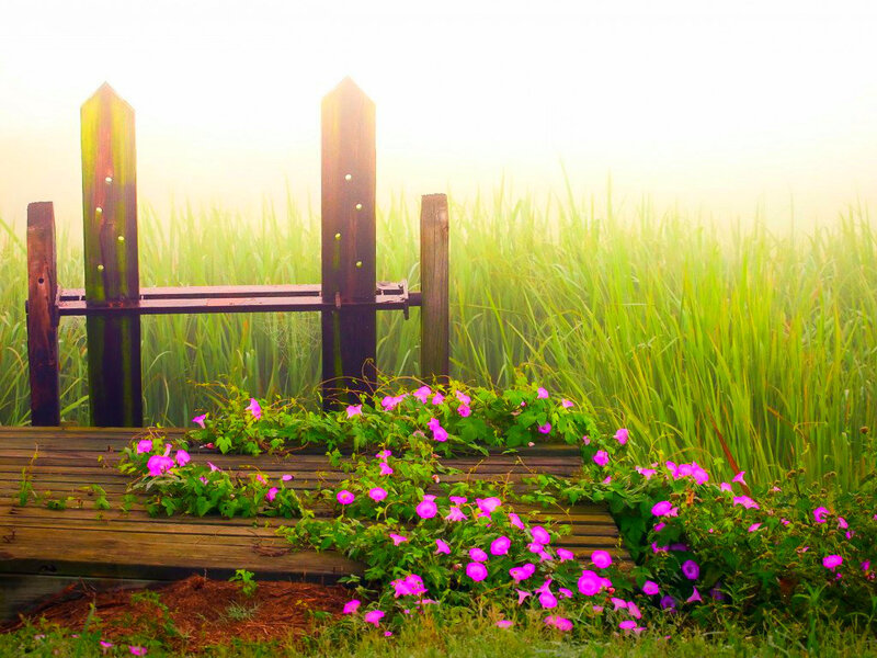 Wooden Bench with Flowers — Green, Serene