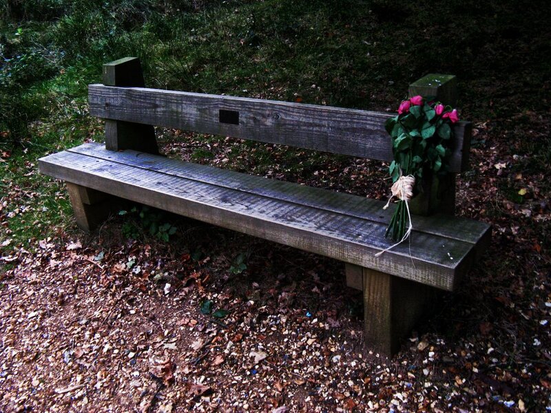 Wooden Bench with Flowers