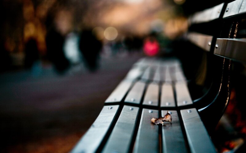 Wooden Bench with Leaf