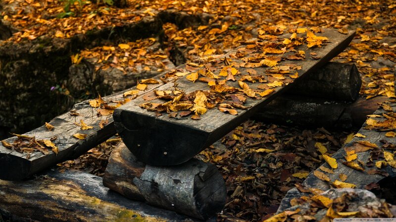 Wooden Bench with Leaves — Brown, Autumnal