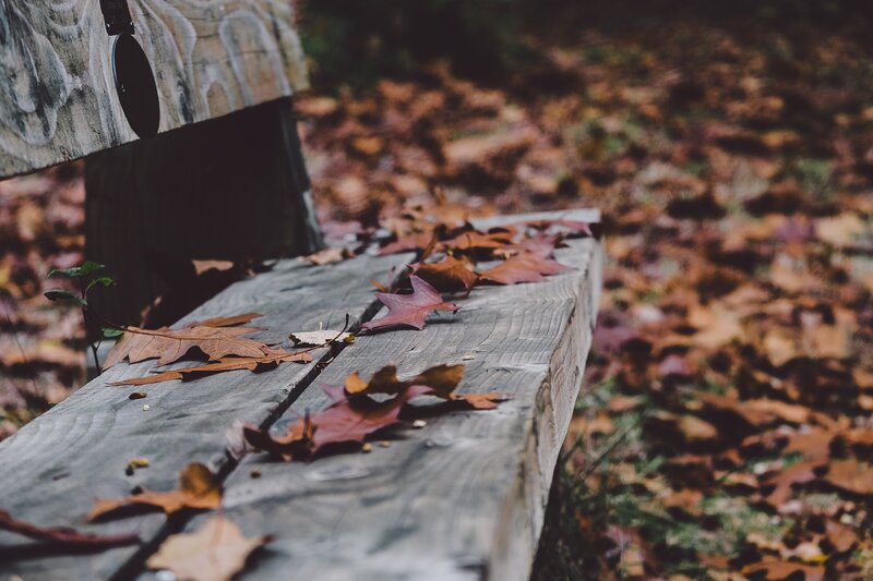 Wooden Bench with Leaves — Brown, Calm, Autumn