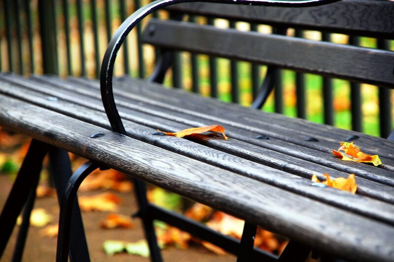 Wooden Bench with Leaves — Brown, Calm