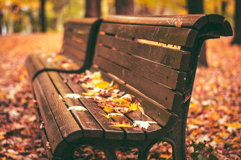 Wooden Bench with Leaves — Brown, Serene, Autumn, Photograph