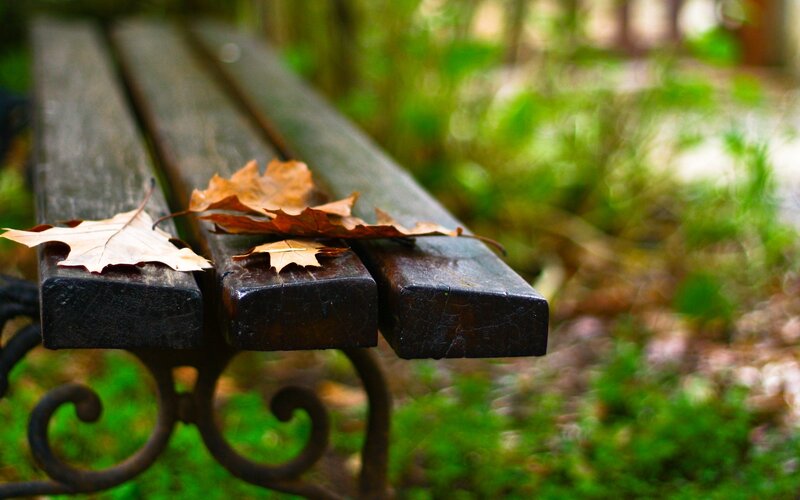 Wooden Bench with Leaves — Brown