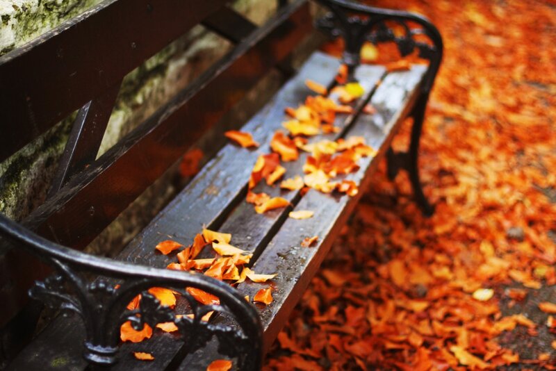 Wooden Bench with Leaves — Orange