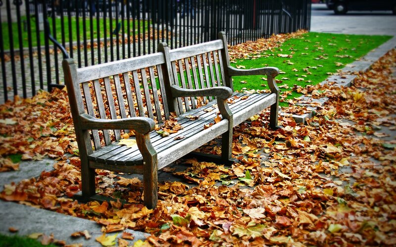 Wooden Bench with Leaves