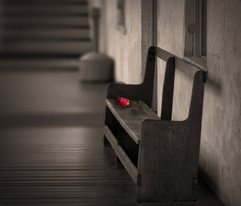 Wooden Bench with Rose