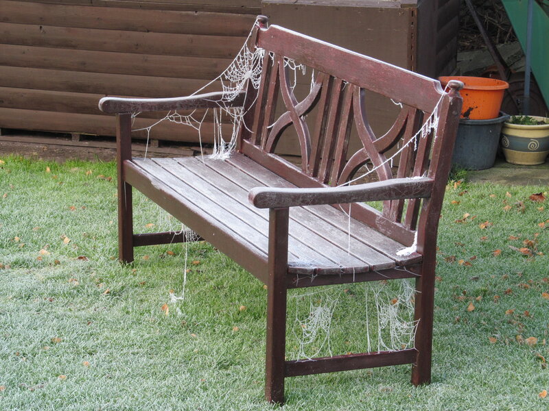 Wooden Bench with Spiderwebs