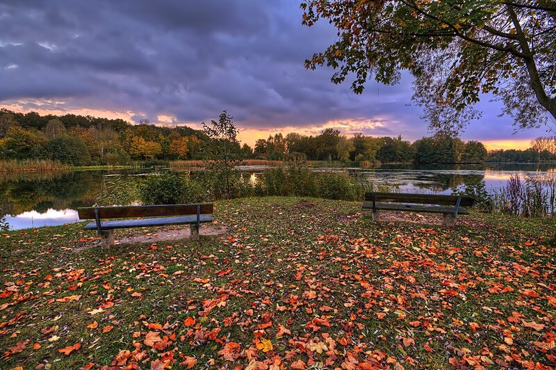Wooden Benches by Lake — Orange