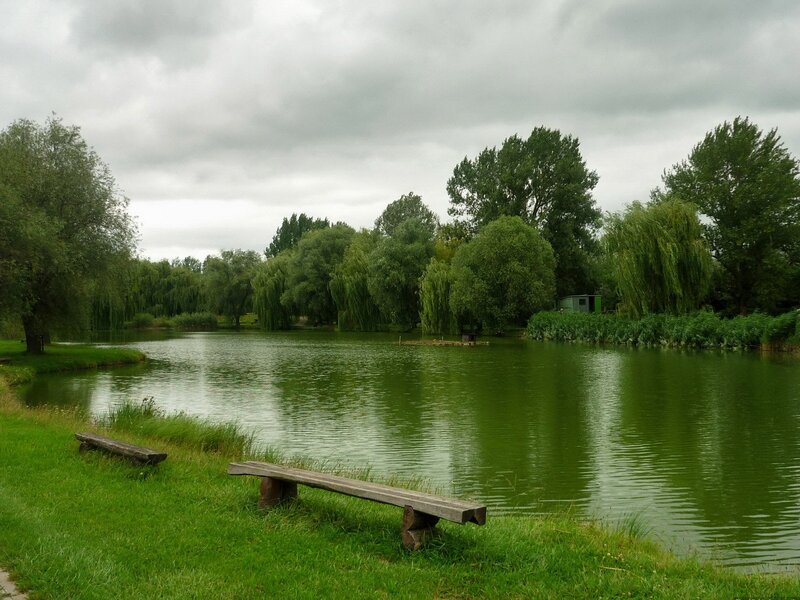 Wooden Benches by Pond