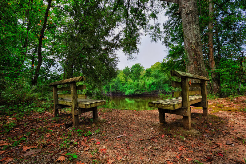 Wooden Benches by River