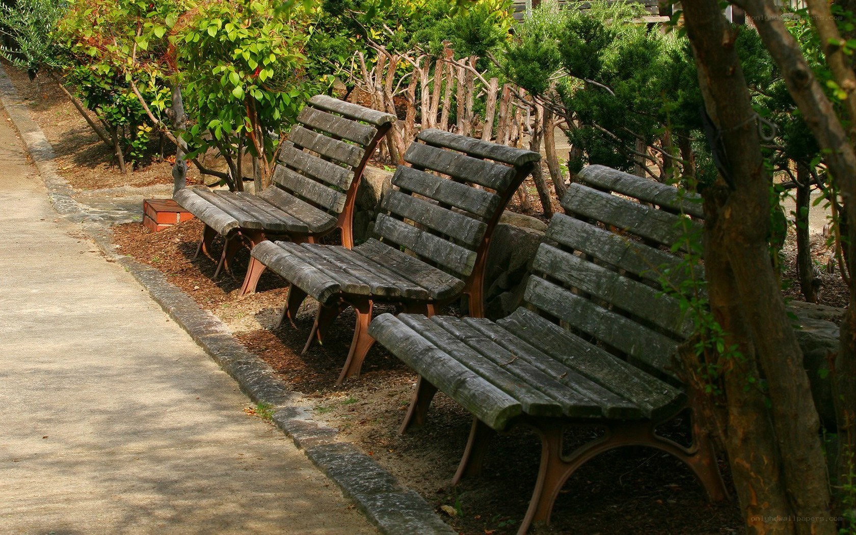 Wooden benches in a park