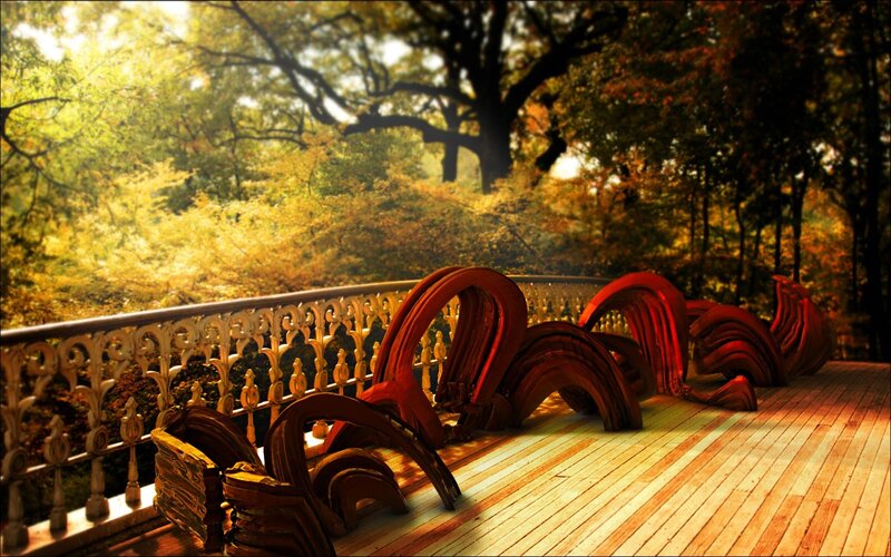 Wooden benches in autumn forest