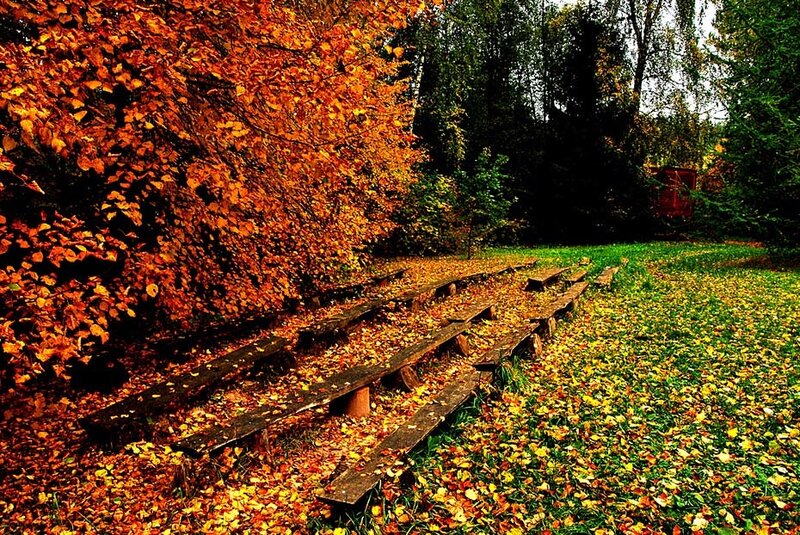Wooden Benches in Autumn