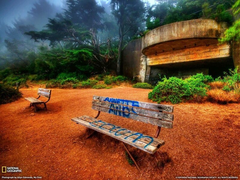 Wooden Benches in Fog