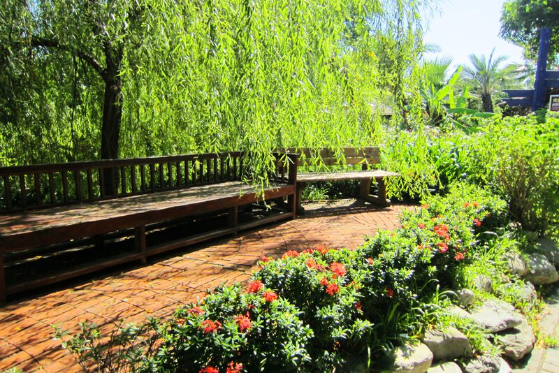 Wooden Benches in Garden — Green