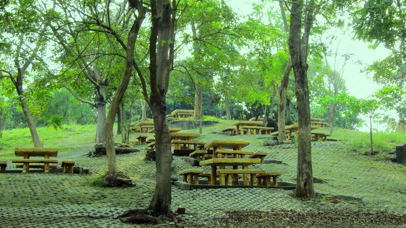 Wooden Benches in Park — Green, Serene