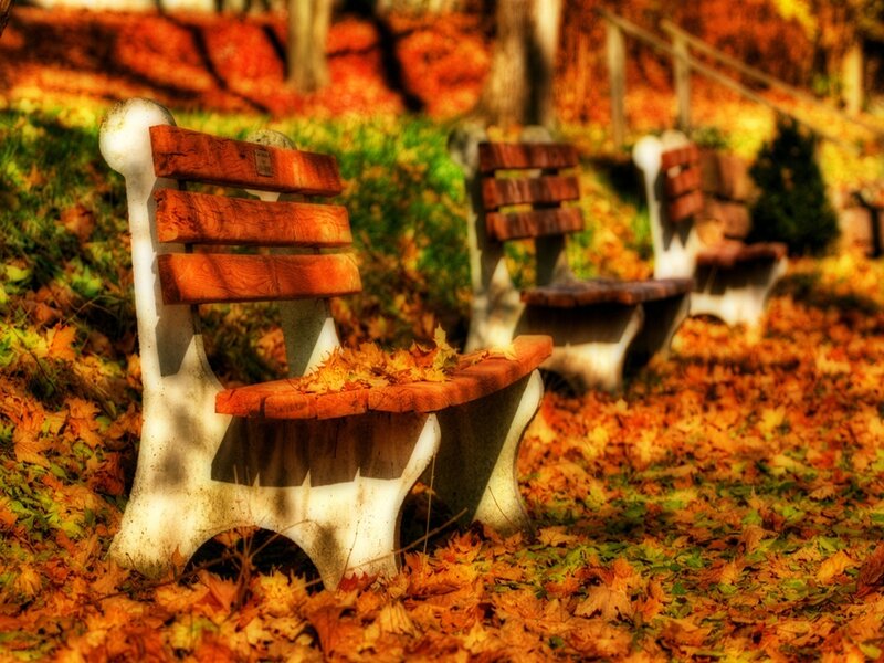 Wooden Benches in Park — Orange