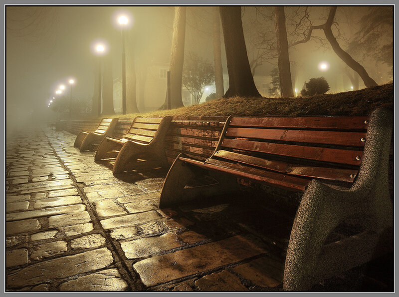 Wooden Benches in Park