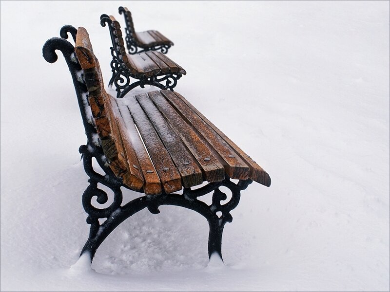 Wooden Benches in Snow